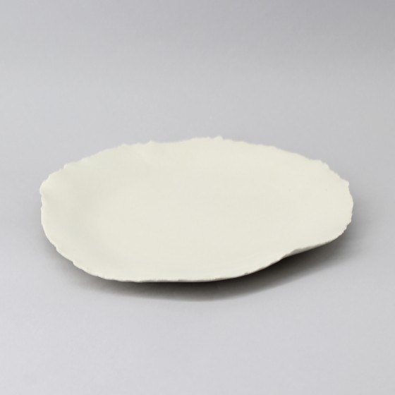 Assiette plate porcelaine...