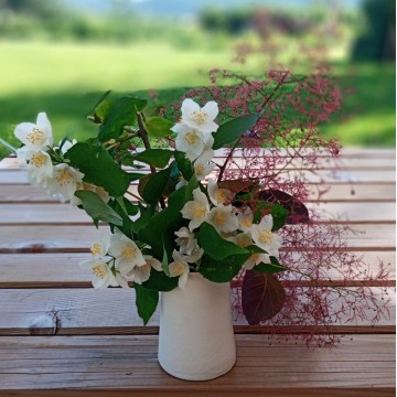 Soliflore composition...